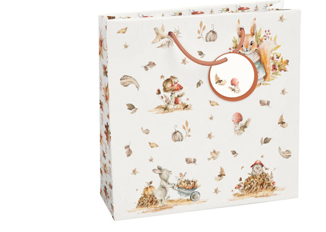 Dárková taška čtvercová-(TQ)  Quad mat  o rozměrech 15x6x14,5cm se  vzorem zvířátek 22522 TQ.jpg#15051#1626466eb1de