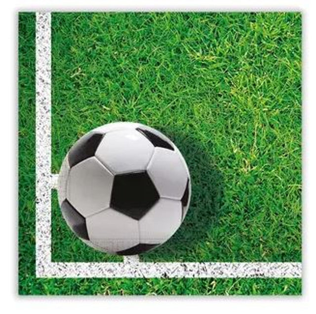 Papírové 2vrstvé ubrousky FOOTBALL 86869.jpg#14626#60b3b91e6de7