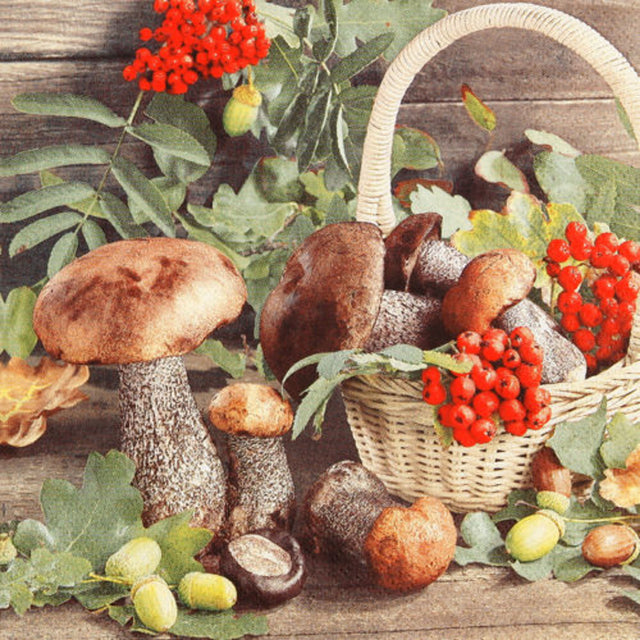 Prémiové papírové ubrousky 33x33 cm (20 ks) 212021_1.jpg#14286#4a15571e452b