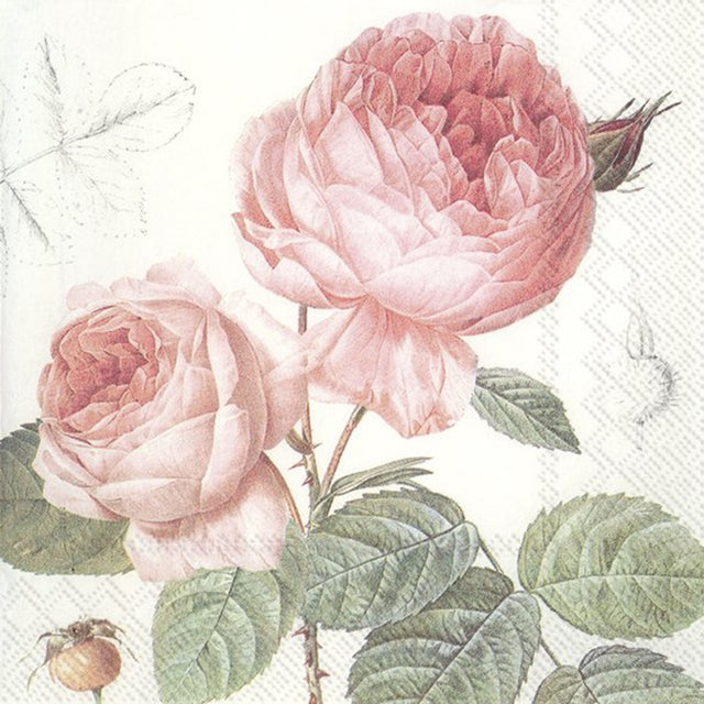 Prémiové papírové ubrousky 33x33 cm (20 ks) L805200_1.jpg#14353#d632e2ccebf6