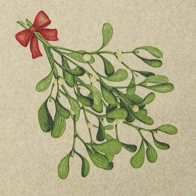 Vánoční papírové ubrousky 33x33 cm (20ks) 642203_1.jpg#13192#32eb5f6da384